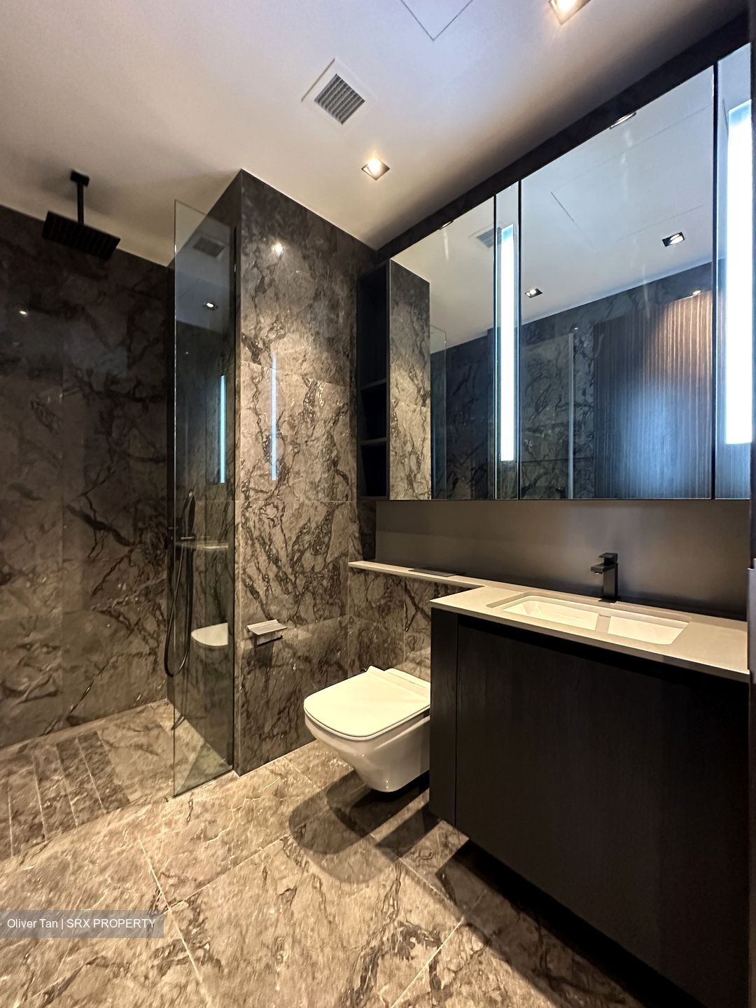 3 Cuscaden (D10), Apartment #433099881